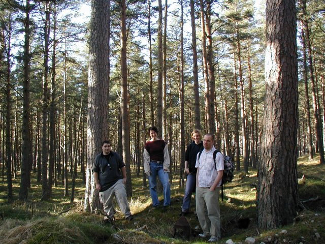 picture from europe